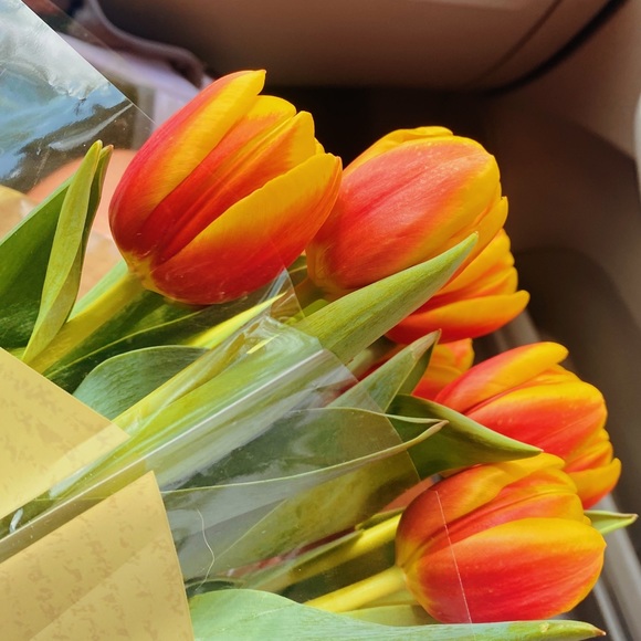 Meet your Posher, Alana - Picture 8 of 9